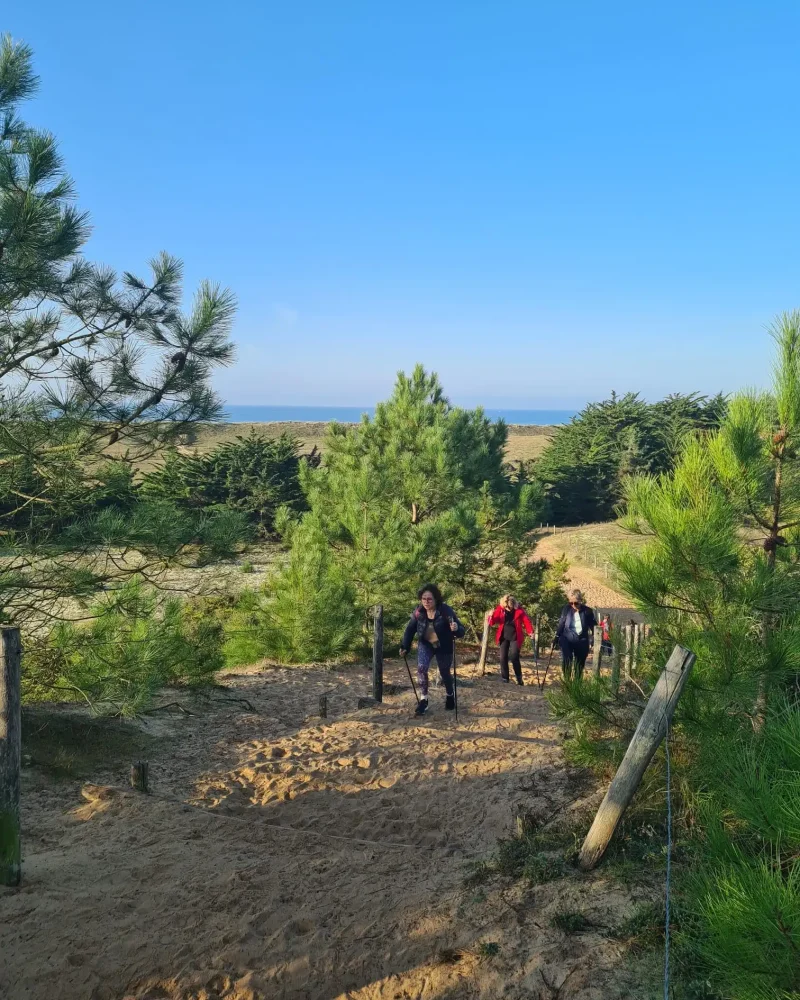 Cours collectifs, Elle'm Fitness, salle de sport à Saint-Hilaire-de-Riez